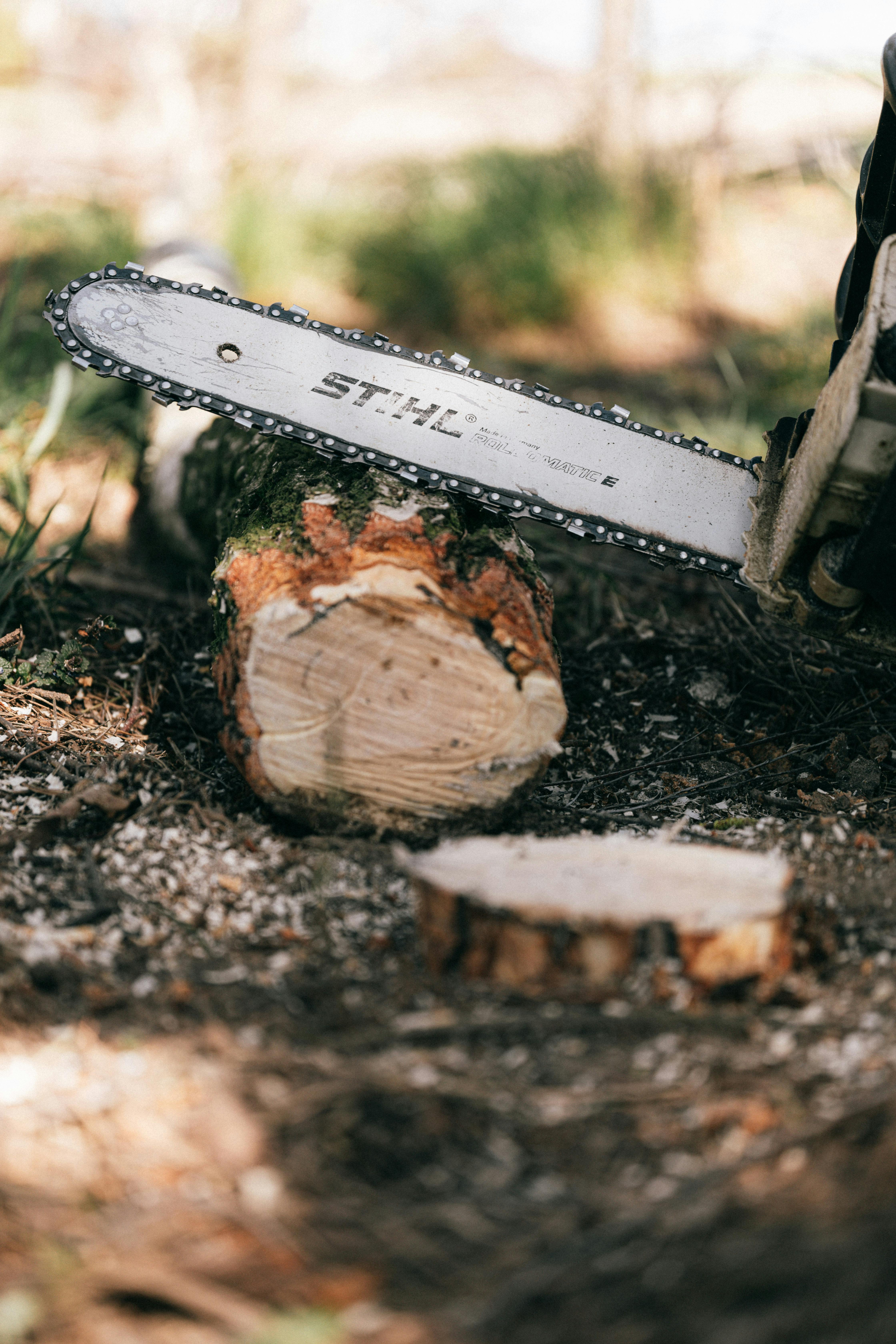 Stihl Akku Kettensäge in Use for Cleanup