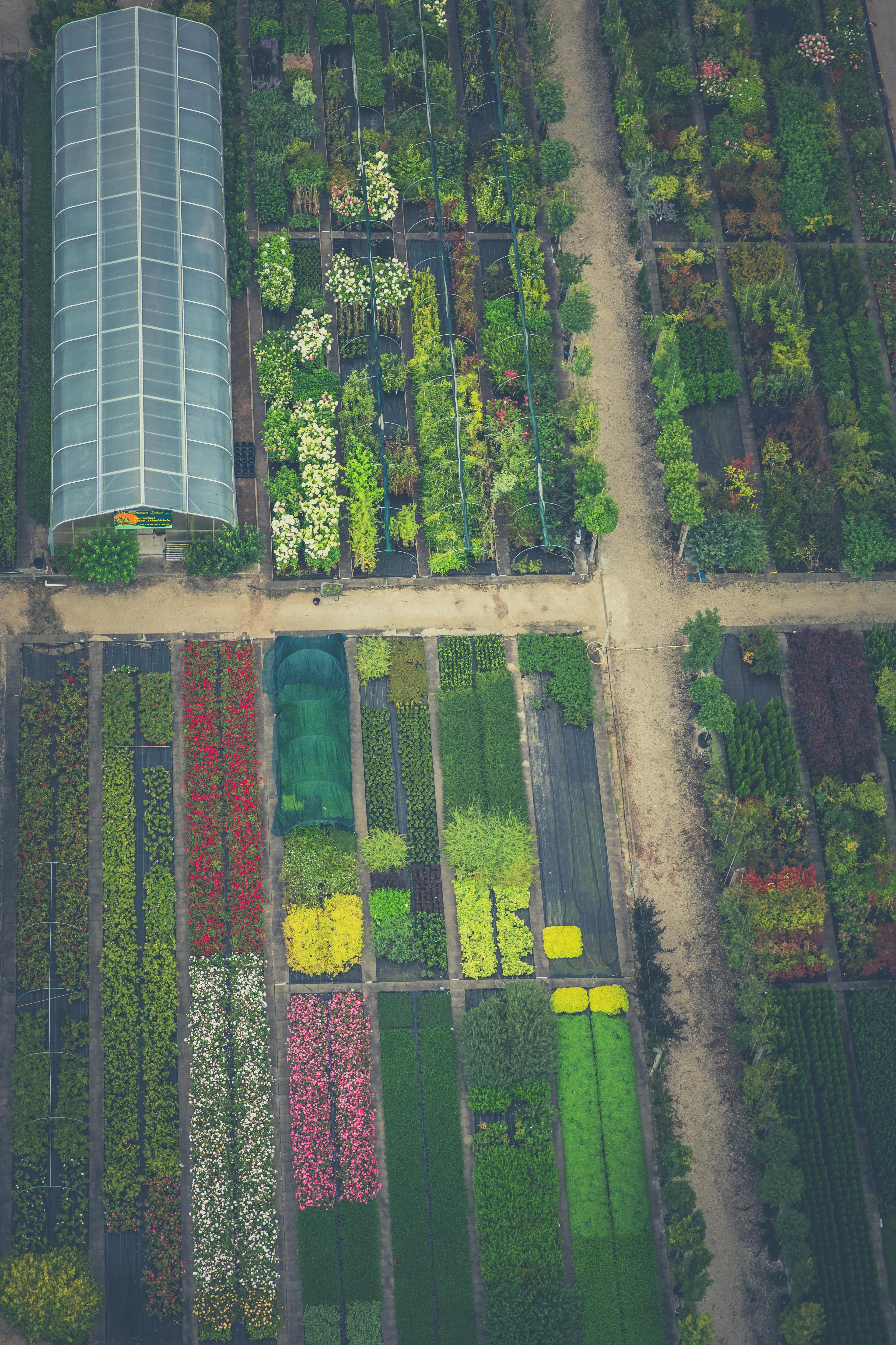 Gestaltungsideen für Gartenplanung