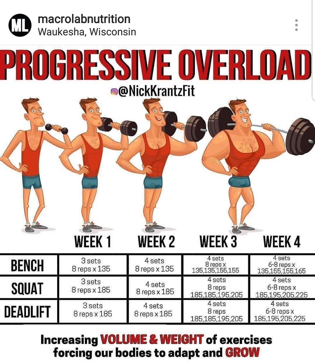 Progressive Overload Image 1