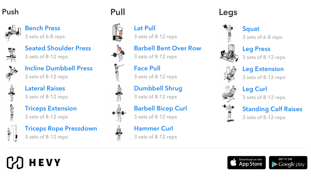 3er Split Trainingsplan Diagramm