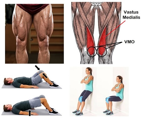 Vastus Medialis Training